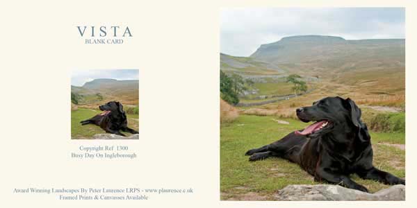 IMG_1300.jpg - Busy Day On Ingleborough