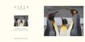 Emperor Penguns In Antartica