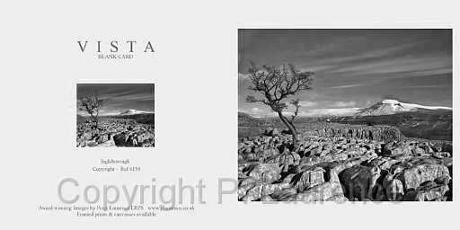CRW 6158 mono